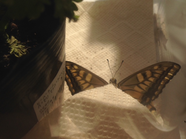 e0272081_16234384.jpg