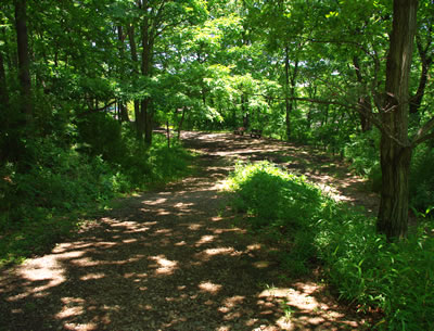 b0123486_9245465.jpg