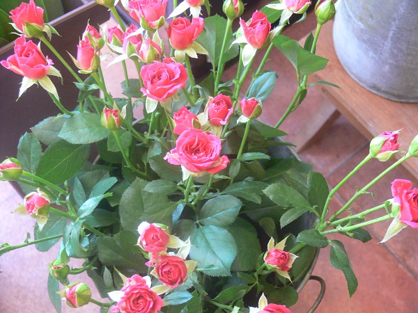 e0140986_1581647.jpg