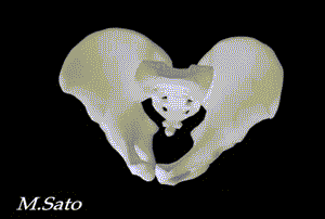 f0074992_23485775.gif