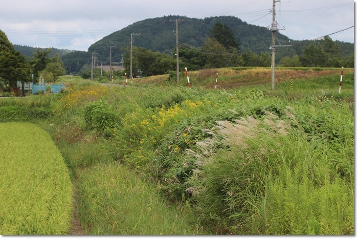 f0146493_16534003.jpg