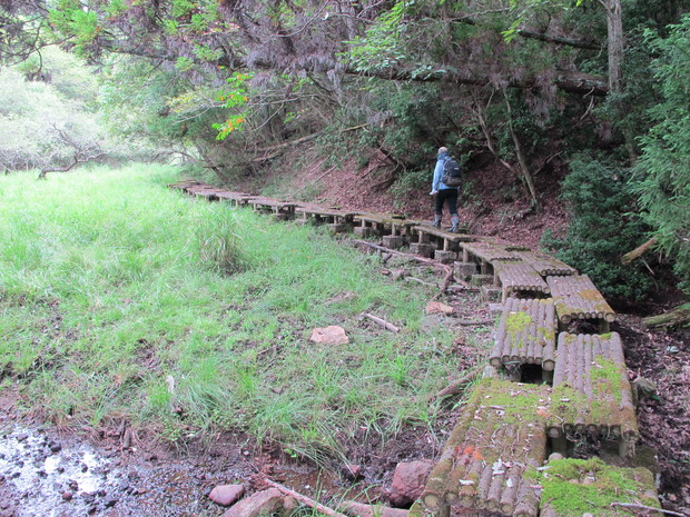 こんな里山なぜ登る？～玖珠町高波山　　2016.8.28（日）_a0166196_13121138.jpg