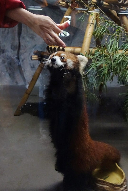 a0306502_822180.jpg