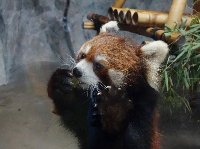 a0306502_823340.jpg