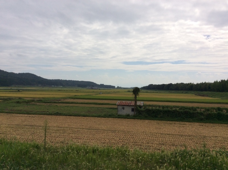 b0220002_17111254.jpeg