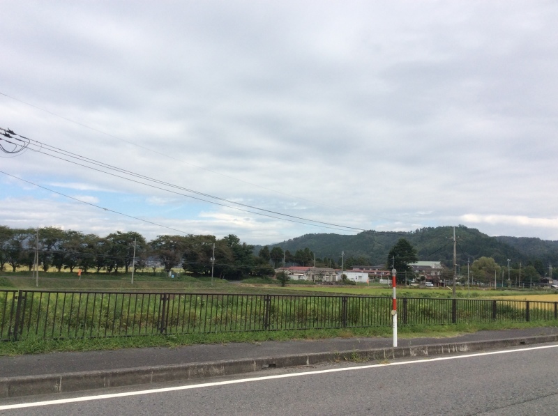 b0220002_17175111.jpeg