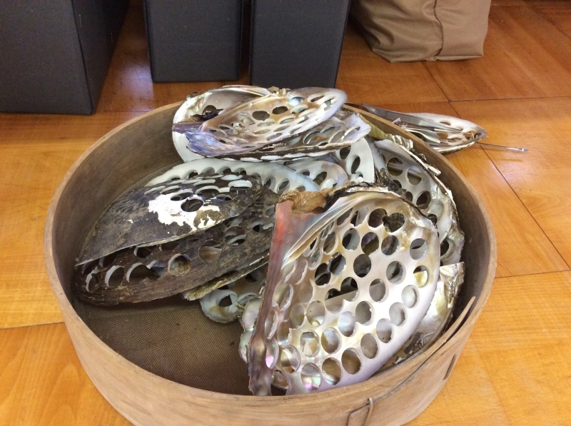 b0220002_18072786.jpeg