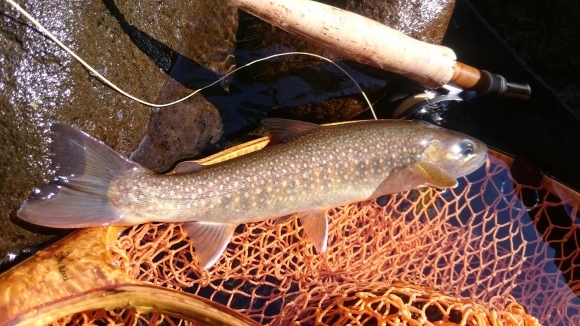 f0266202_16081919.jpg