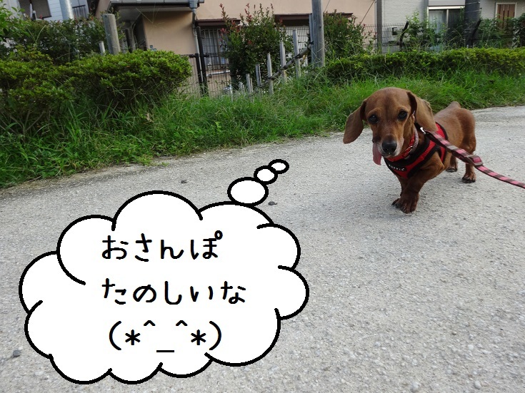 a0332203_12472527.jpg