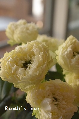 e0128909_828271.jpg