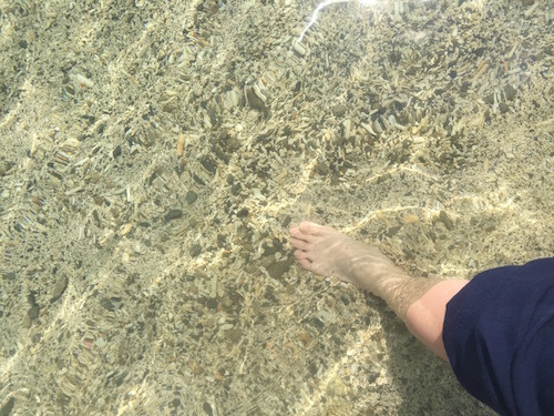 d0341811_11375534.jpg