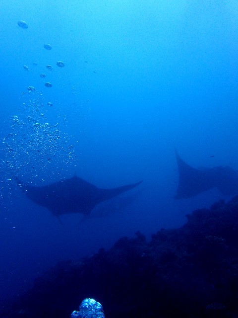 f0043911_13384704.jpg
