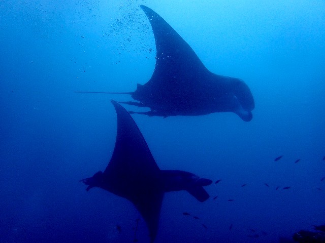 f0043911_13390139.jpg