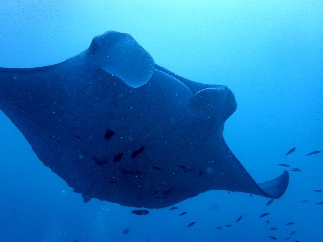 f0043911_13402617.jpg
