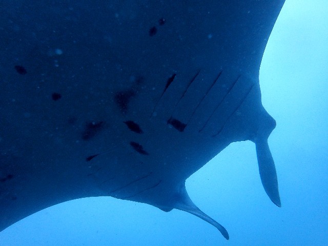 f0043911_13405491.jpg