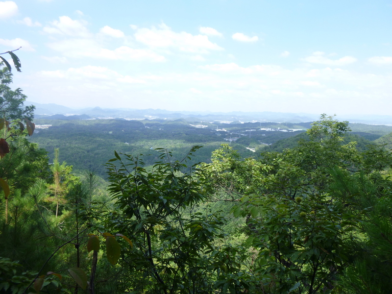 d0170615_2015421.jpg