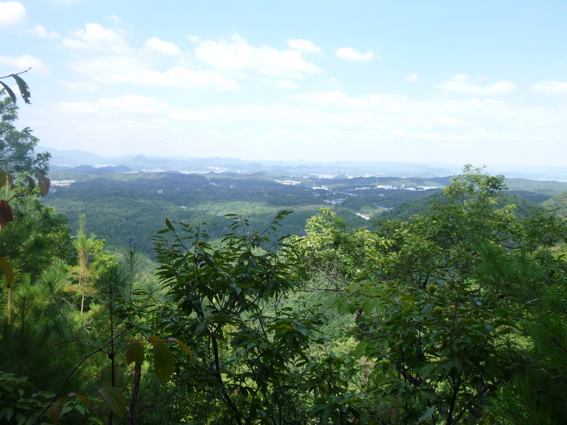 今日のお気に入り写真　岐阜権現山　(316.5M)_d0170615_2015421.jpg