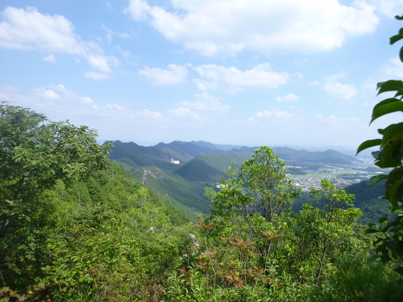 今日のお気に入り写真　岐阜権現山　(316.5M)_d0170615_20161646.jpg