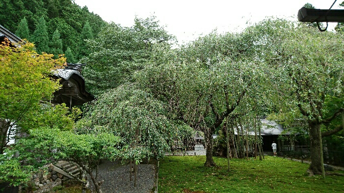 c0140516_2039344.jpg