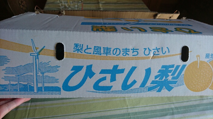 c0140516_2051535.jpg