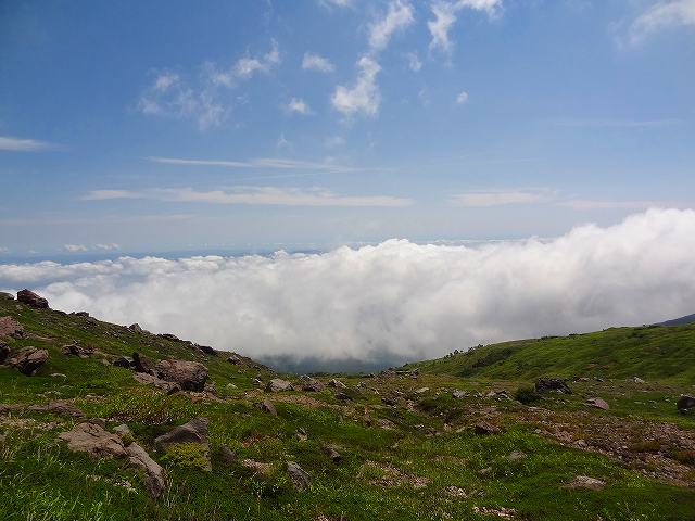 a0243317_8163474.jpg