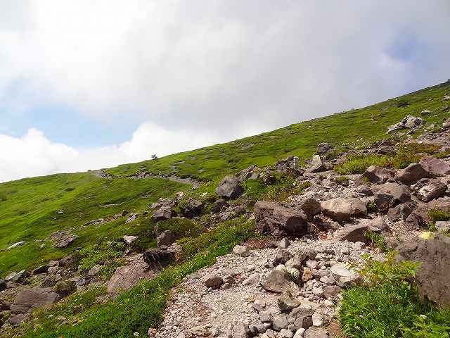 a0243317_8183752.jpg