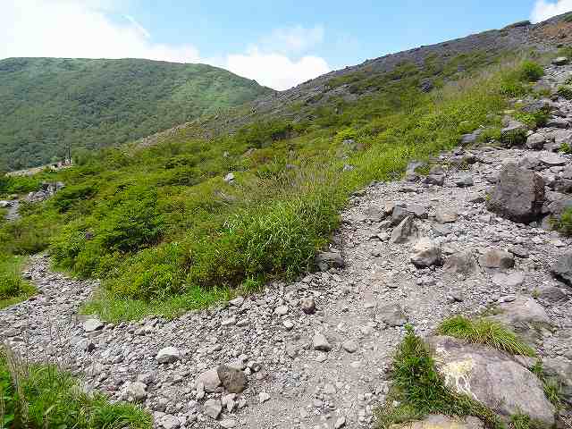 a0243317_824714.jpg
