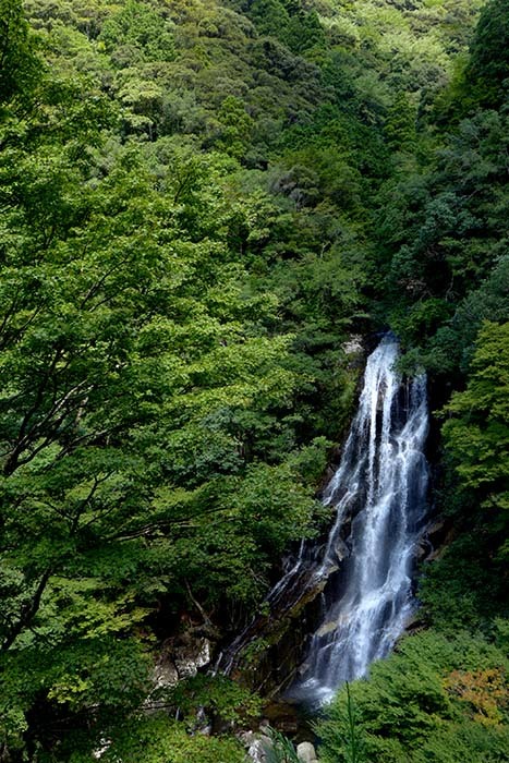 熊野、古座川の滝巡り_b0356221_17390421.jpg