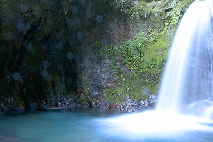 b0356221_17411639.jpg