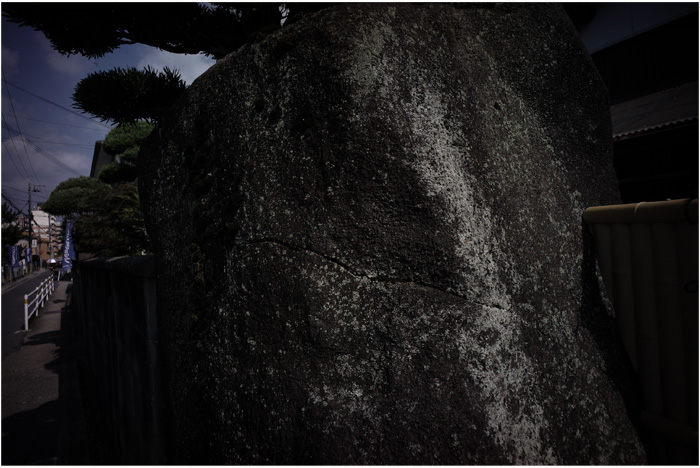 1640　西大寺（ビオゴン21㎜F4.5が西大寺への往還に爆発したみたい）Part 2_b0226423_1245381.jpg