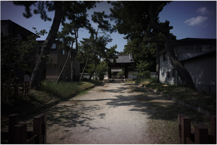 1640　西大寺（ビオゴン21㎜F4.5が西大寺への往還に爆発したみたい）Part 2_b0226423_1251128.jpg