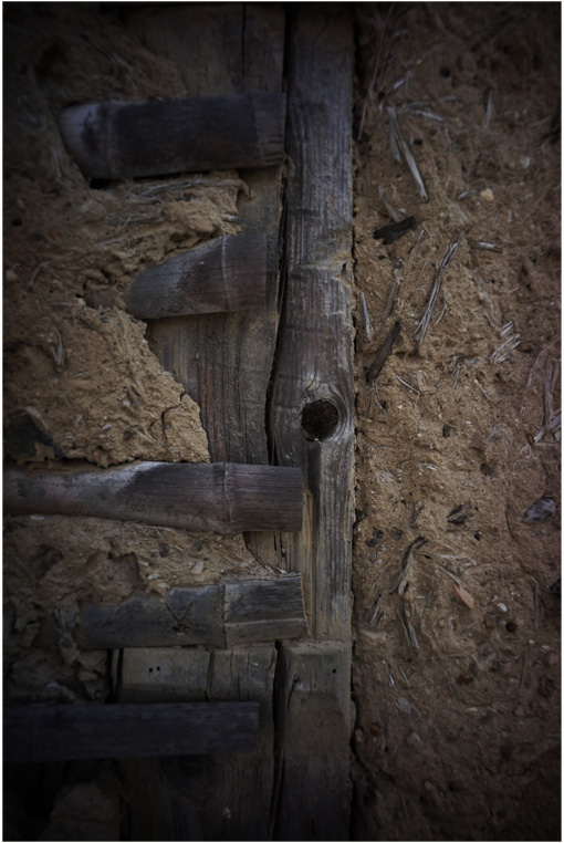 1640　西大寺（ビオゴン21㎜F4.5が西大寺への往還に爆発したみたい）Part 2_b0226423_1262799.jpg