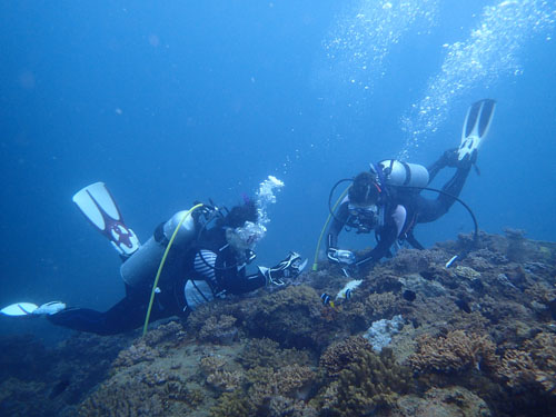 d0164831_162273.jpg