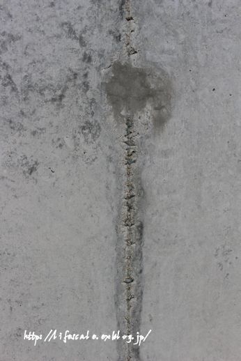 f0329331_16313450.jpg