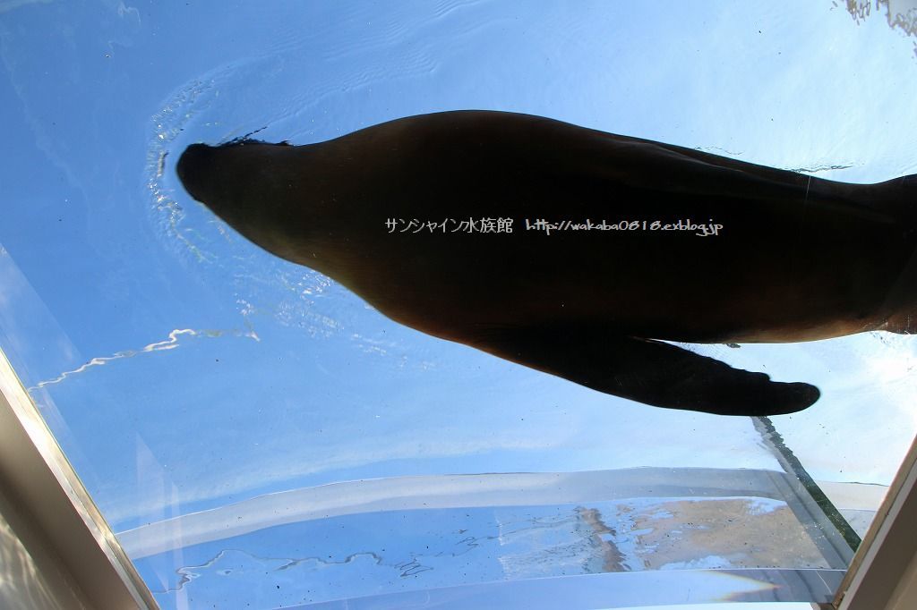 e0052135_15321927.jpg