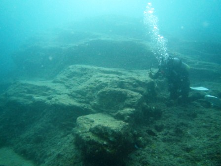 a0189838_2117299.jpg