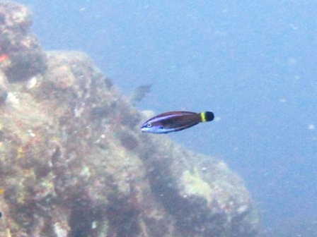 a0189838_2183340.jpg