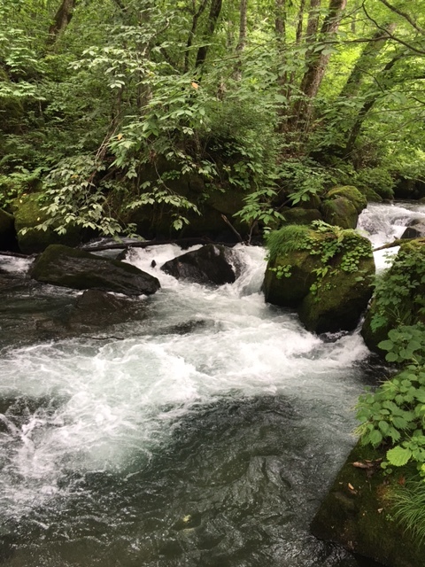 日本の旅の記録　その２　青森県奥入瀬（おいらせ）渓流_b0271640_09473910.jpg