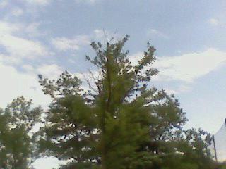 e0150843_2312276.jpg