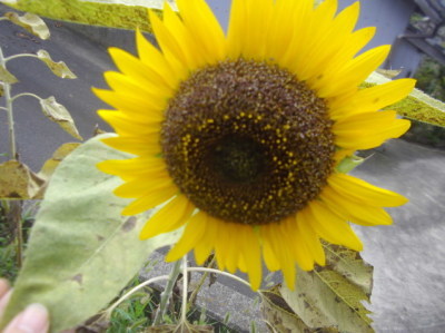 a0281449_17483438.jpg