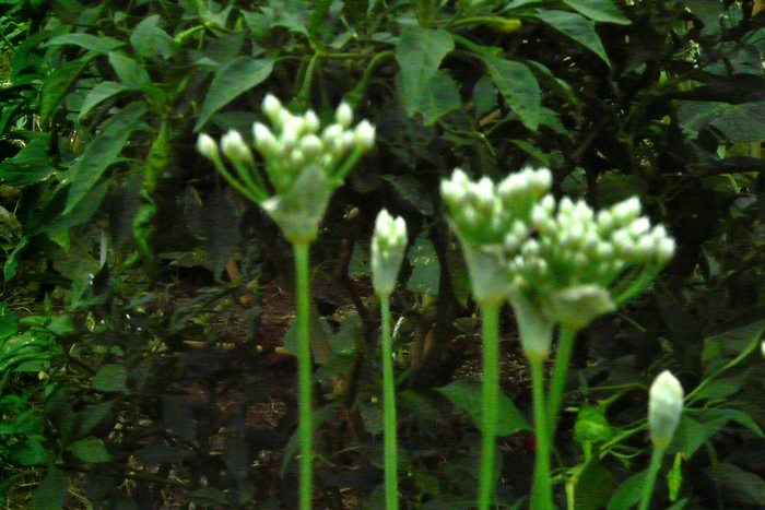 b0248954_932134.jpg