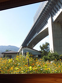 d0054855_5582377.jpg