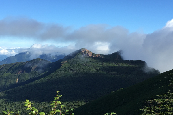 初めての八ヶ岳　8/24～26_f0007956_14084895.jpg