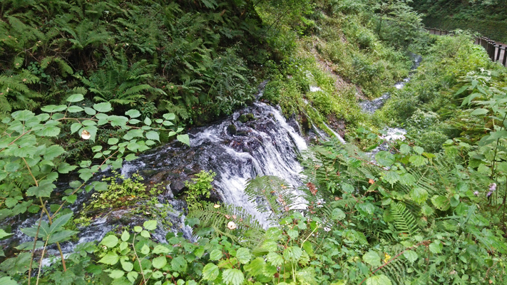 b0045357_15205085.jpg
