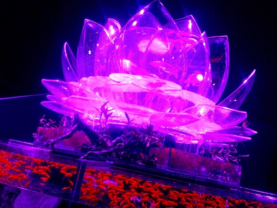a0134568_12291948.jpg