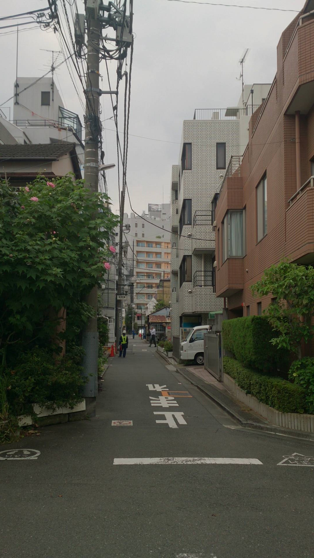 c0002171_792751.jpg