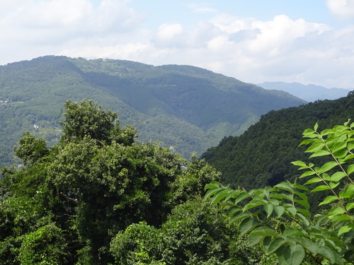 e0124473_16521389.jpg