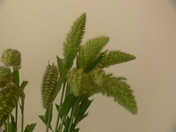 e0140986_115650.jpg