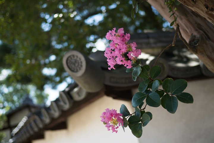 文久の庄屋屋敷はモダンアートの夢を見るか?_d0353489_20938.jpg