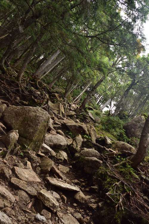 e0241691_20292057.jpg